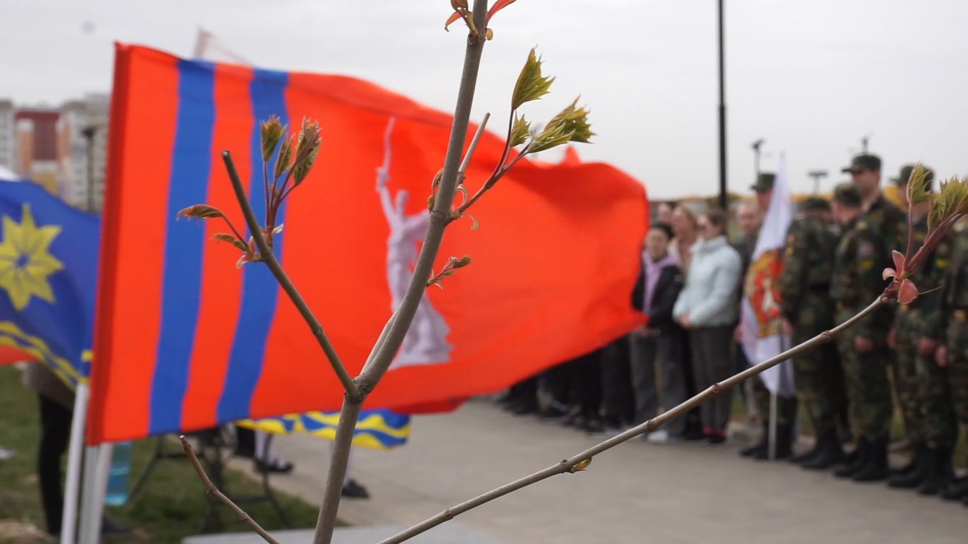 В регионе продолжается акция «Сад памяти»